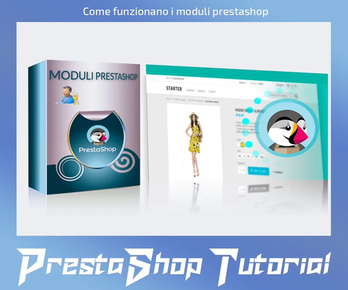 COME FUNZIONANO I MODULI PRESTASHOP